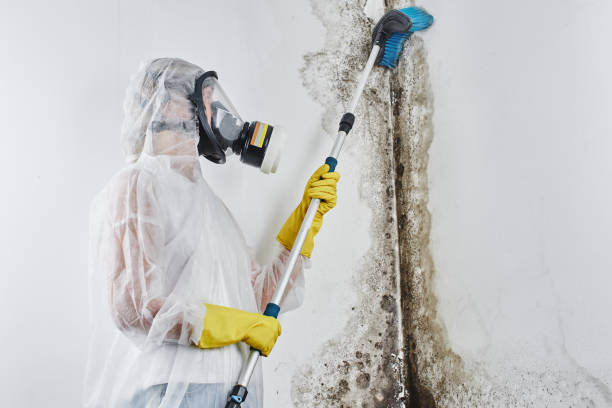 Best Water Damage Restoration  in Fort Riley, KS