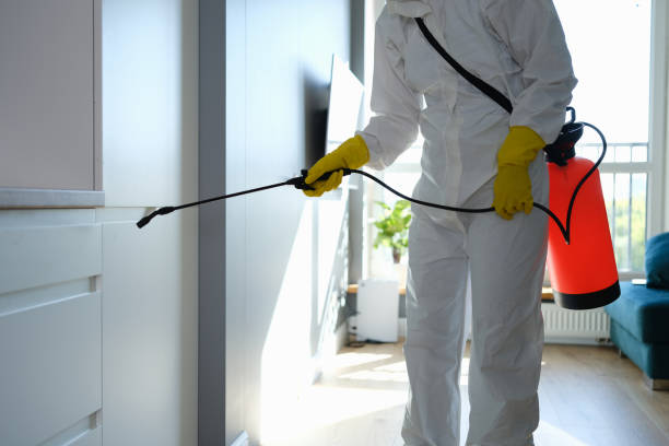 Best Mold Cleaning Services  in Fort Riley, KS